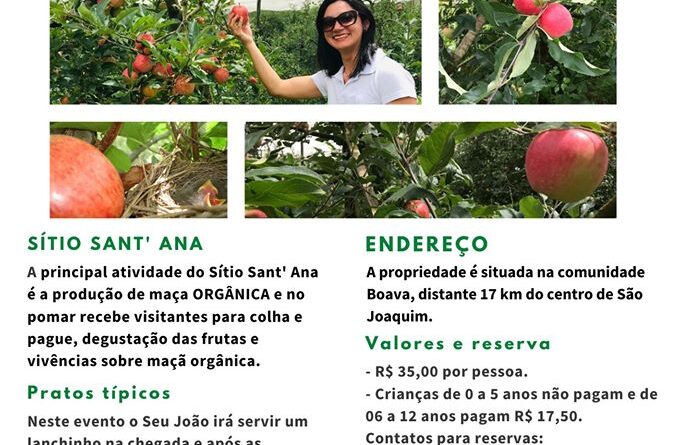 Algumas fotos recentes não abrem no … - Comunidade da Apple